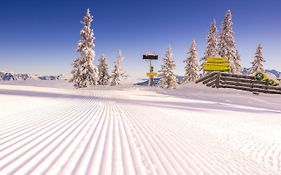 Appartement Schladming Neu