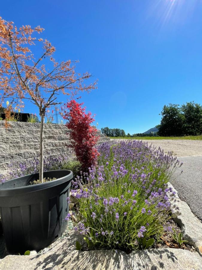 Appartement Schladming Neu Exteriér fotografie